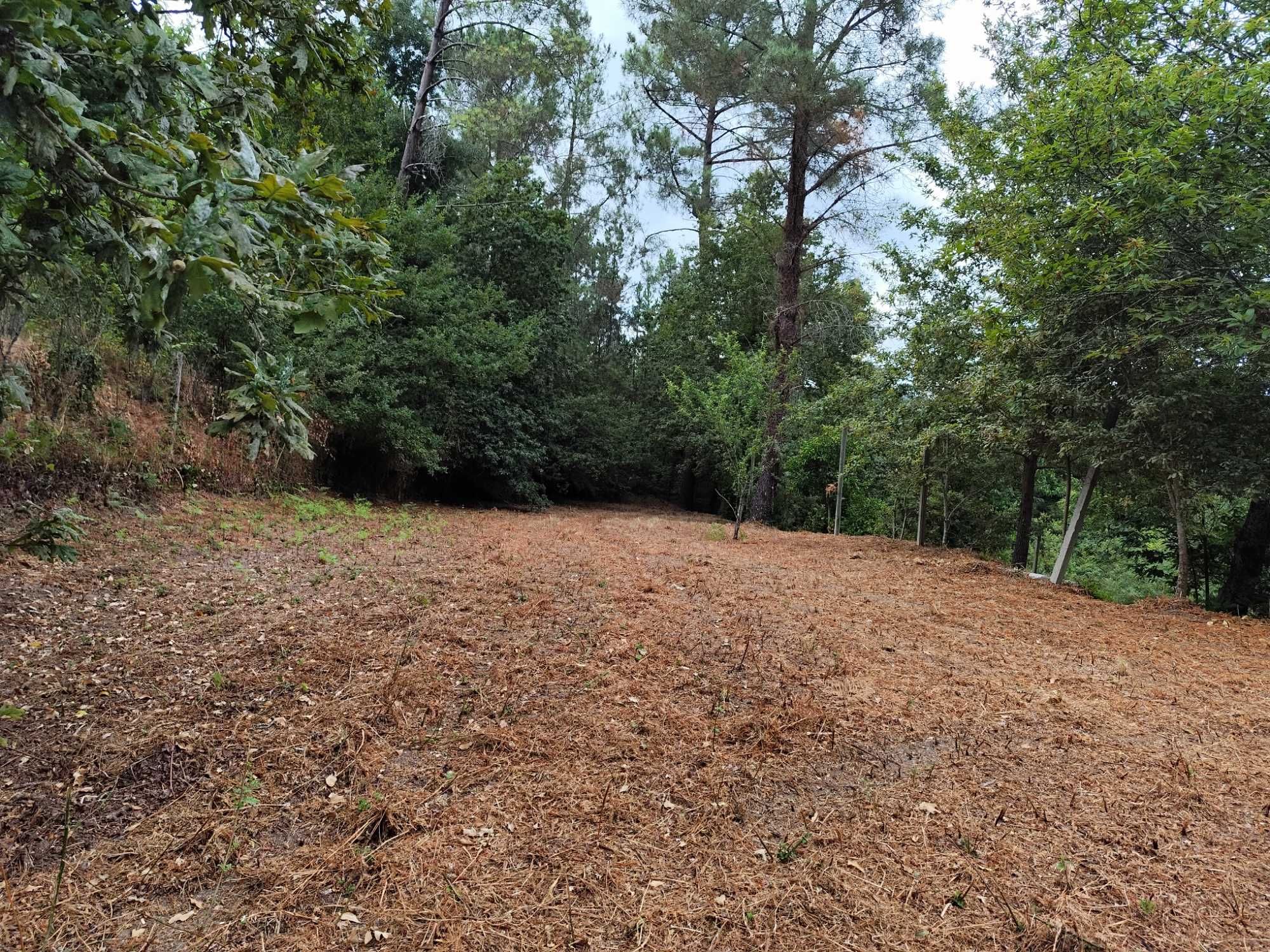 Venda de terreno
