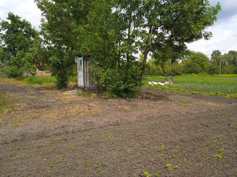 Земельна ділянка