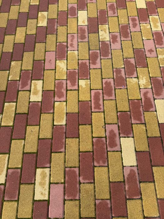 Тротуарна плитка ФЕМ FEM на кільцевій самовивіз