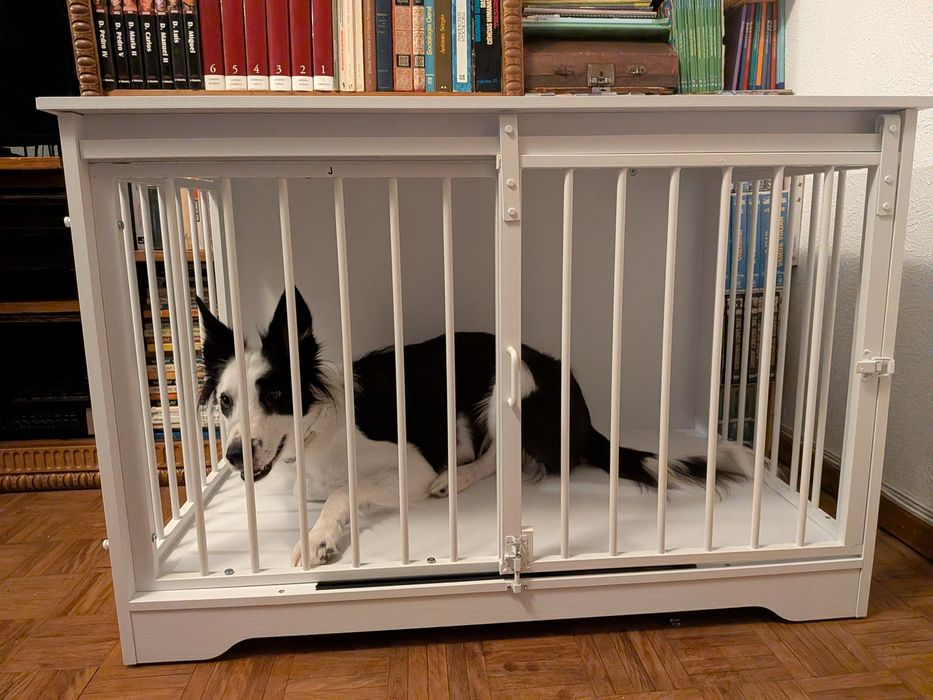Móvel Crate/jaula para cães