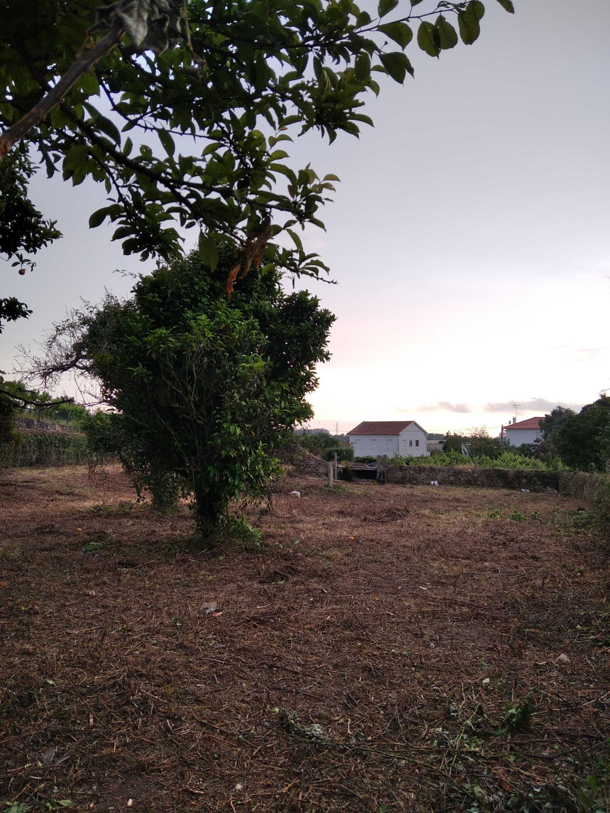 Manuntenção de jardins/ limpeza de terrenos