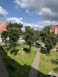 Jasne i ustawne mieszkanie