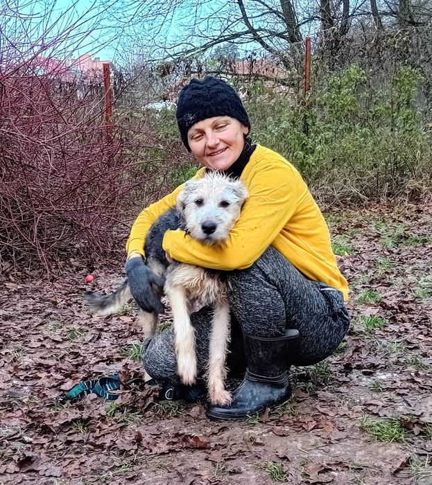 BURGER - 10-miesięczny, łagodny, kochany