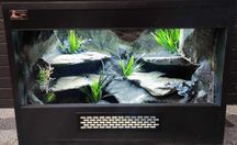 Terrarium pustynne nr527 60/40/40 dla gekona lamparciego NA ZAMÓWIENIE