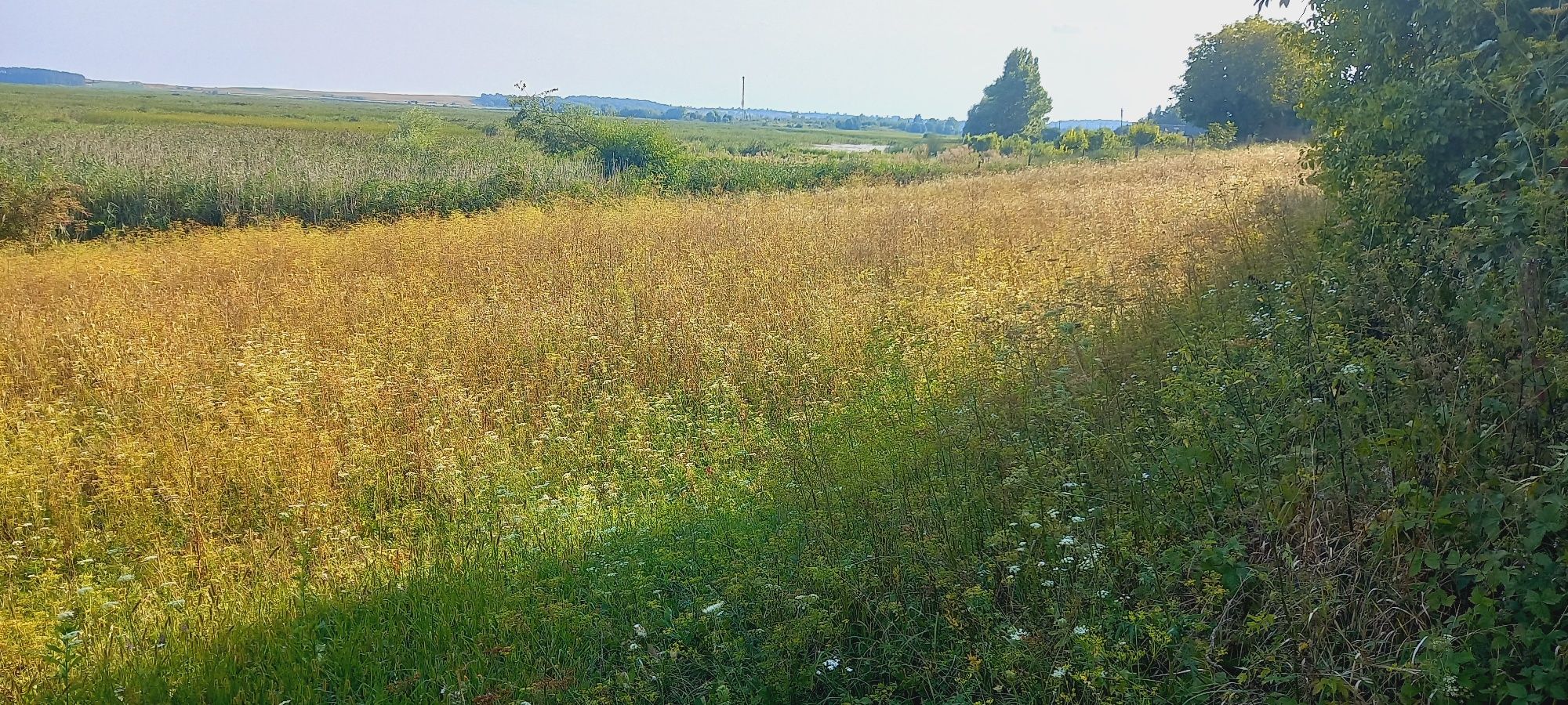 Земельна ділянка з виходом до р. Стир