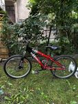 Koala longway rower  24”