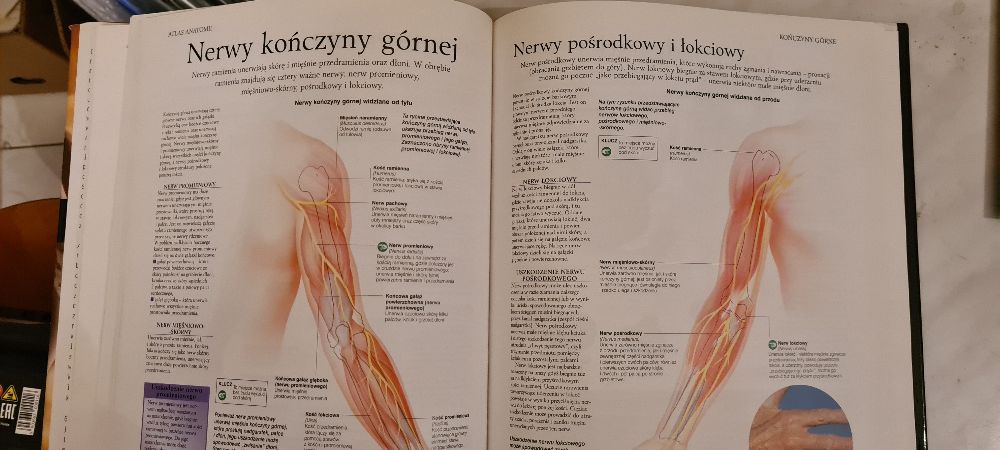Atlas anatomiczny. Peter AbrahamsCiało człowieka: budowa i funkcjonowa