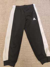 Adidas spodnie r. 104