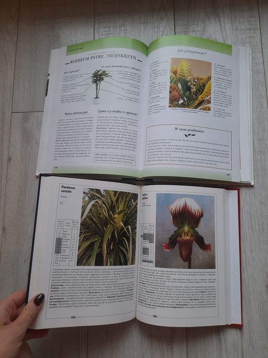 Książki o kwiatach doniczkowych