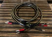 Chord Company Epic X - Kabel głośnikowy konfekcjonowany 2x2,5m Łódź