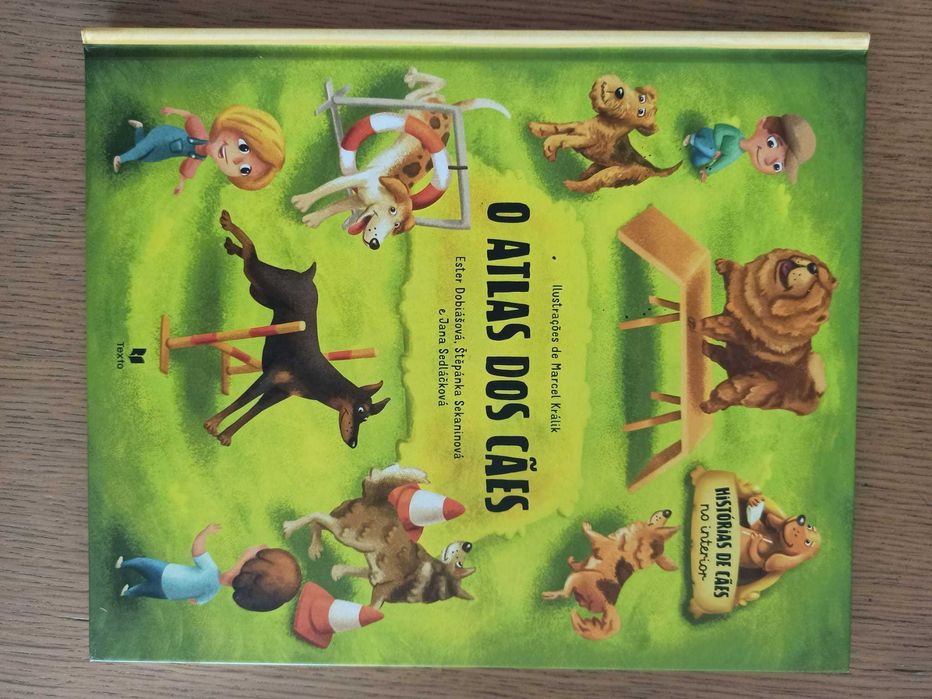 Livros Infantis - álbuns cartonados