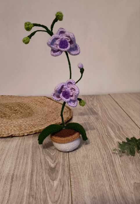 Storczyk na szydełku