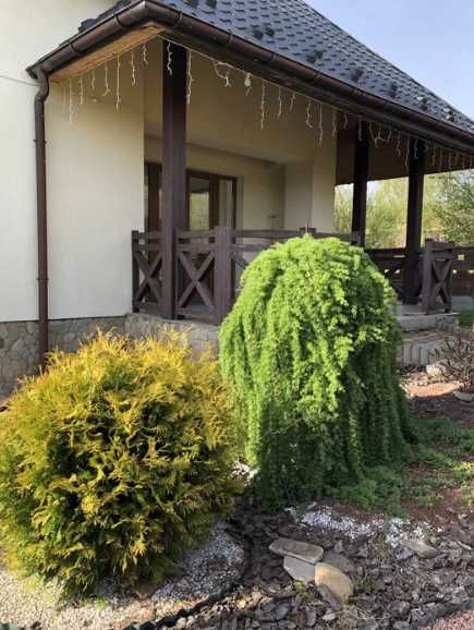 Пропонуємо   затишний будинок у мальовничій Східниці Гори  Карпати