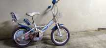 Bicicleta roda 14 da Frozen