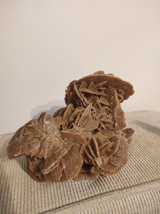 Róża pustyni minerał skamielina