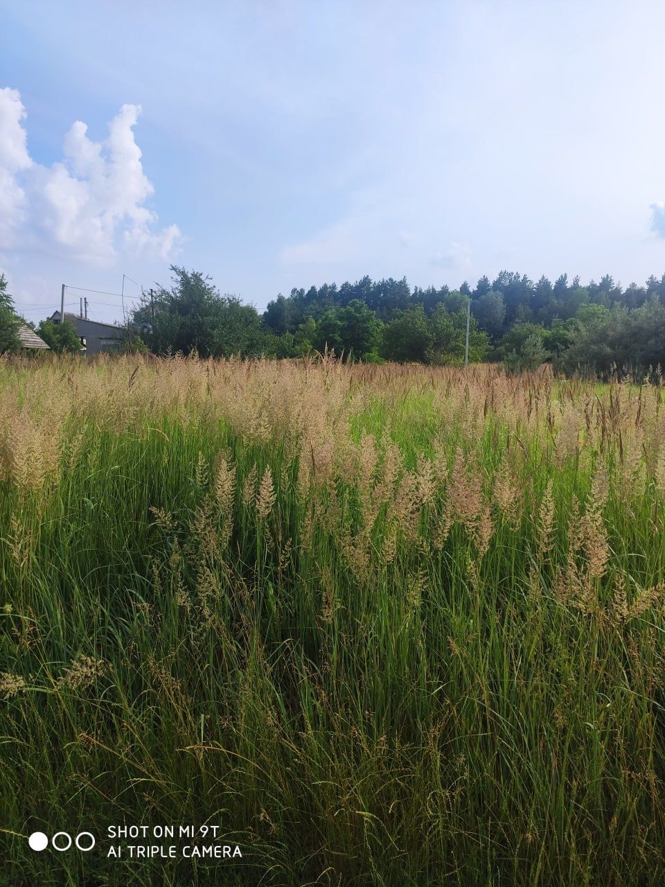 Продам участок біля Дніпра