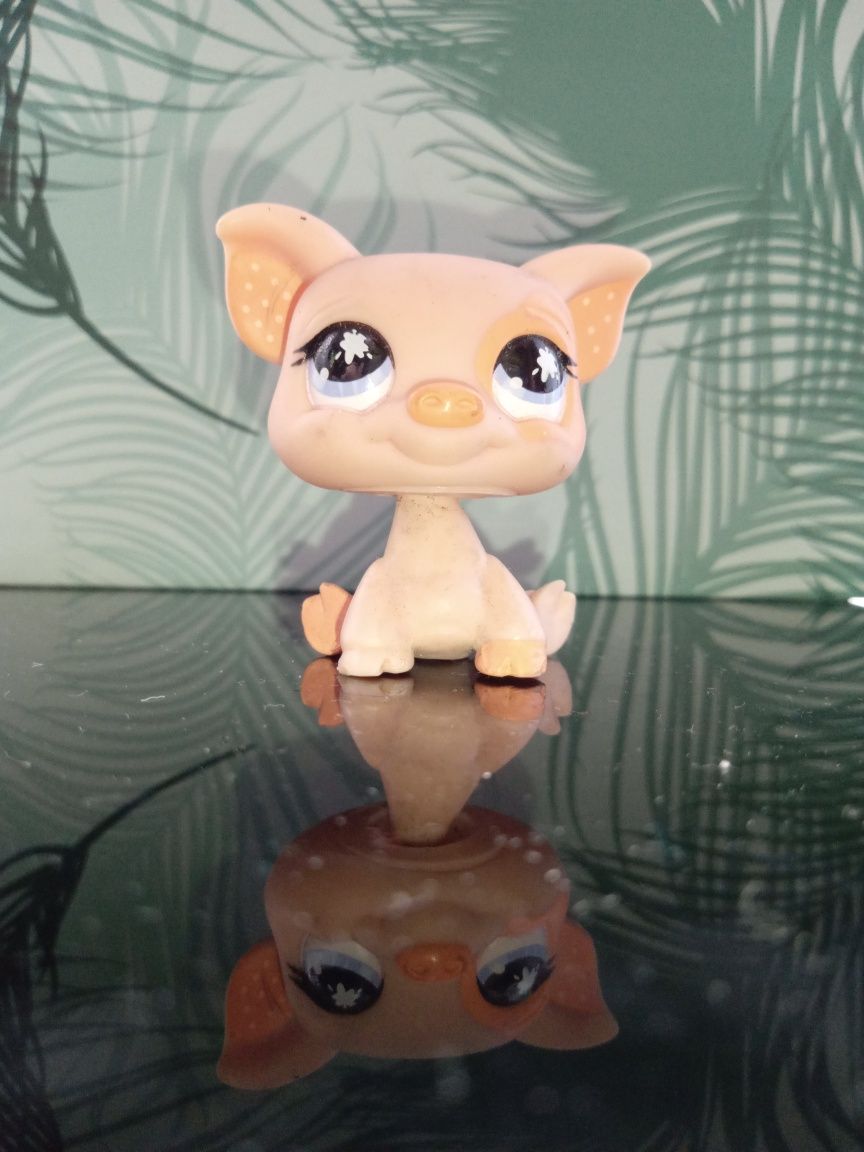 Świnka Littlest Pet Shop #885Hasbro