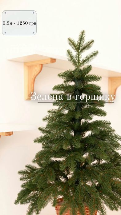 Ялинка в горщику 0.9м