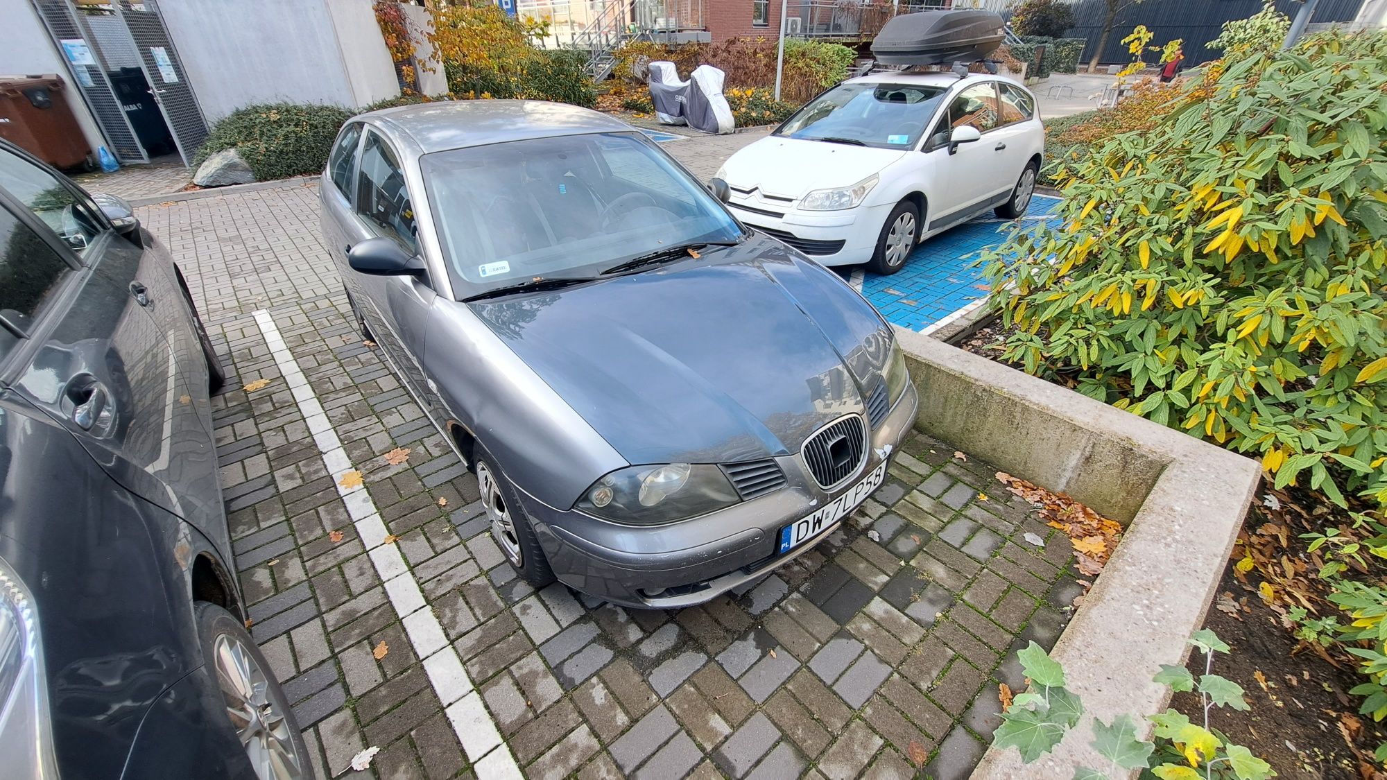 Seat Ibiza III 3 generacji 1.4 Benz Wrocław