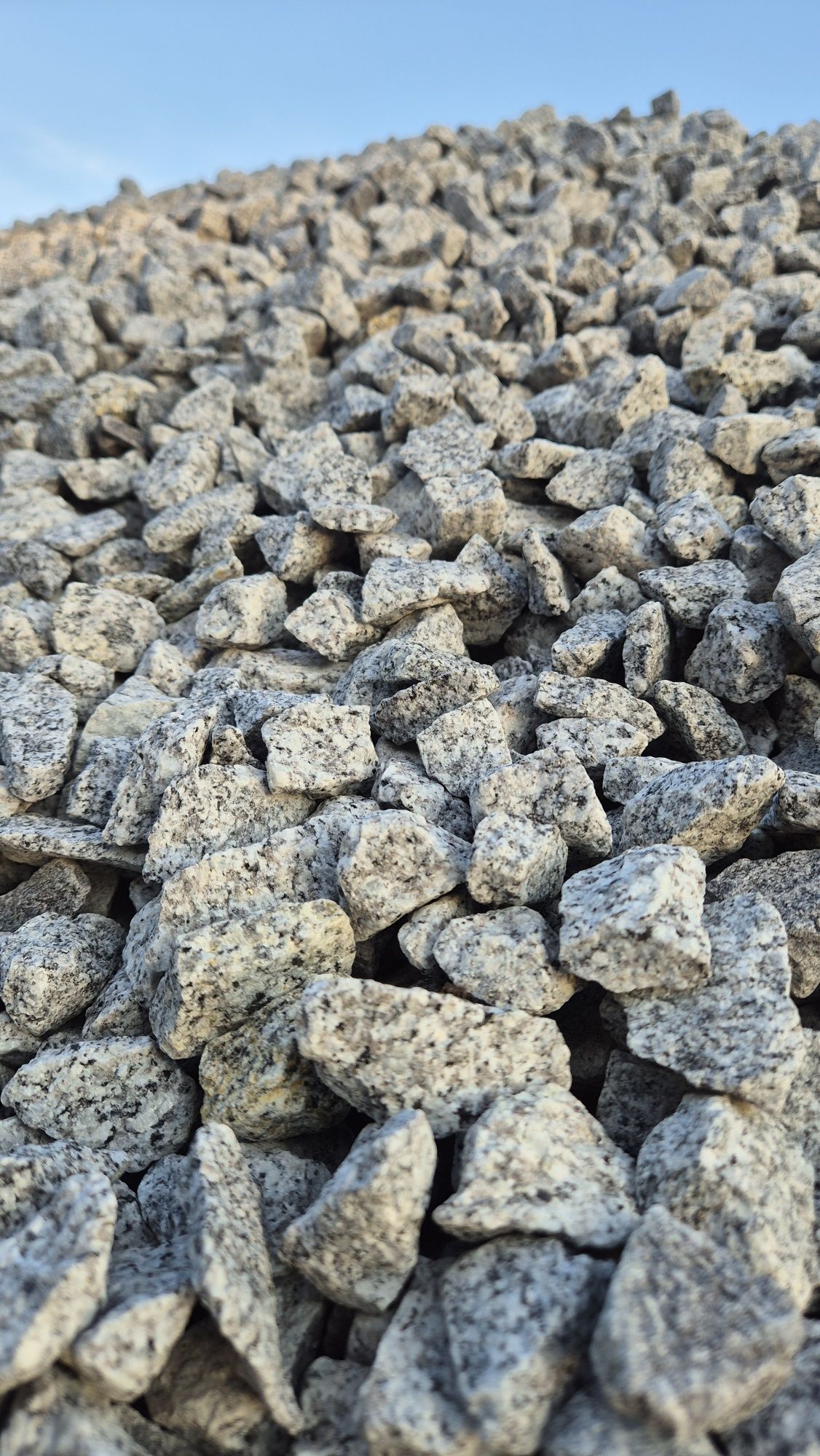 GRYS Granitowy Delmatyńczyk kruszywo ozdobne 16-22 Dekoracyjny