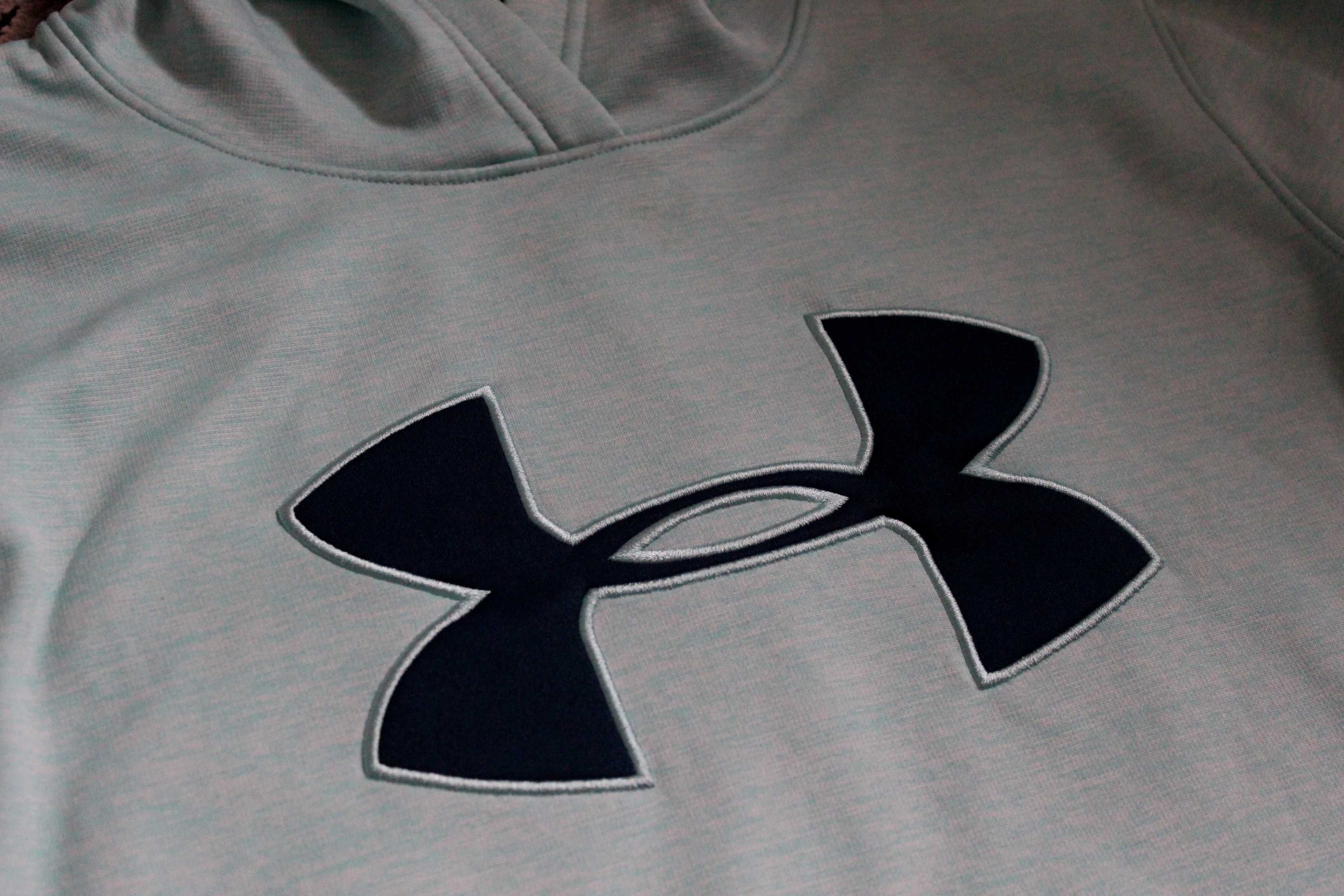 Кофта Under Armour Big Logo