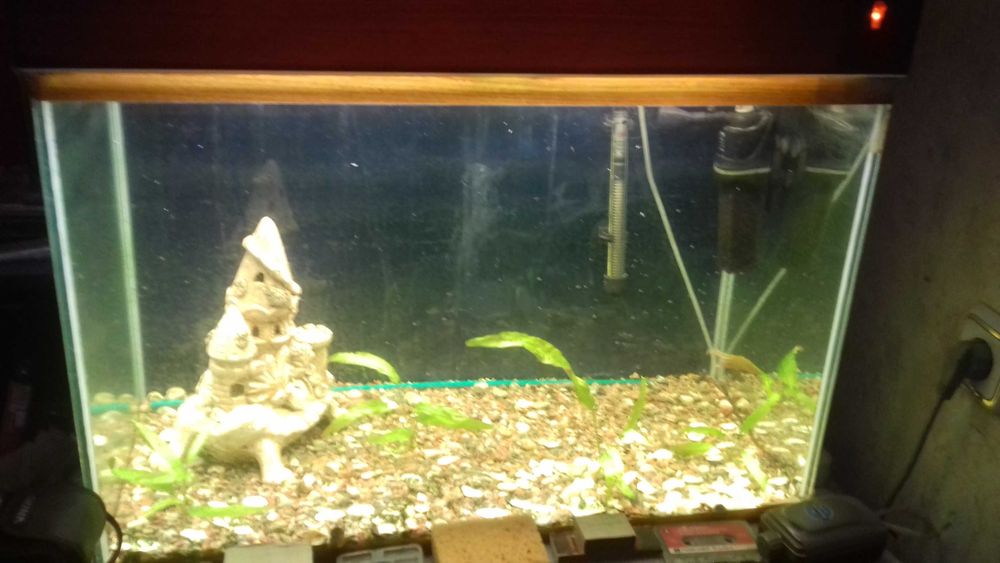 Продам два аквариума