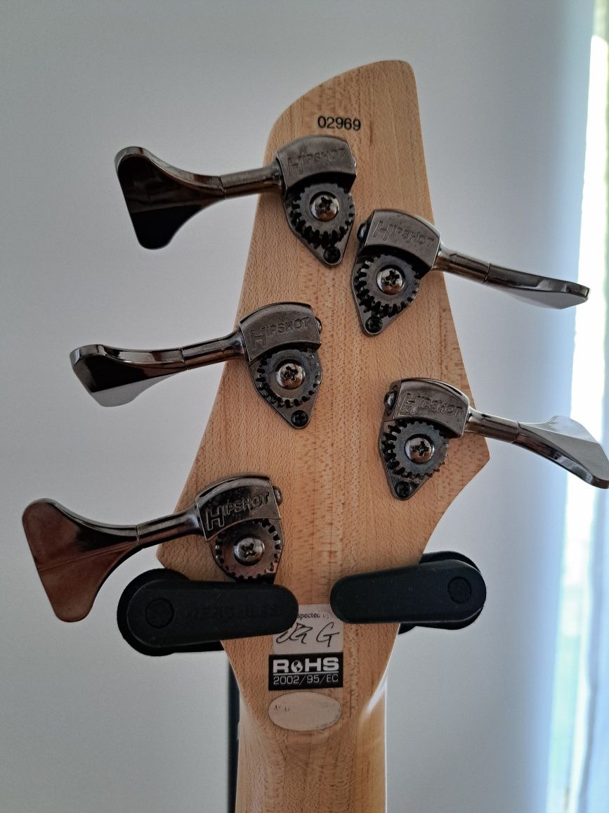 Dingwall NG3 Nolly Singature 5 | multiskala | fanned fret
