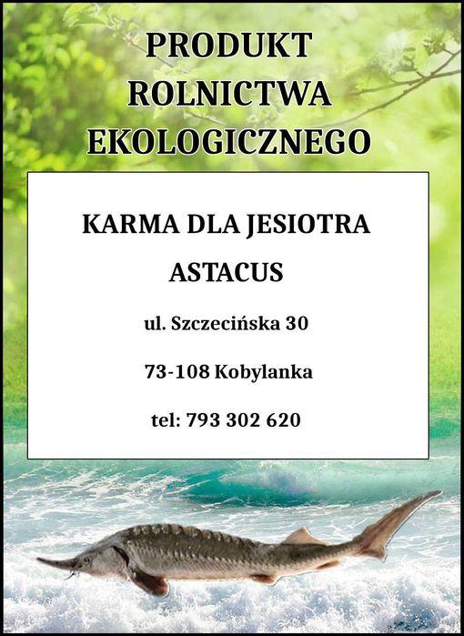 karma dla ryb karp pstrąg jesiotr koi