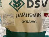 Ріпак озимий дайнемік DSV