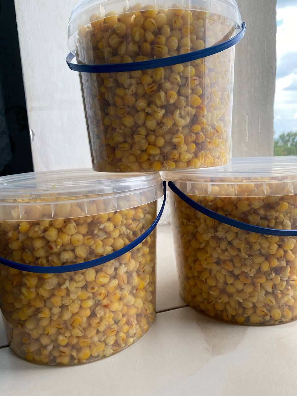 Кукурудза ферментована п'яна кукурудза короп білий амур