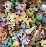 mystery box paczka z figurkami little pet shop lps unikaty pop