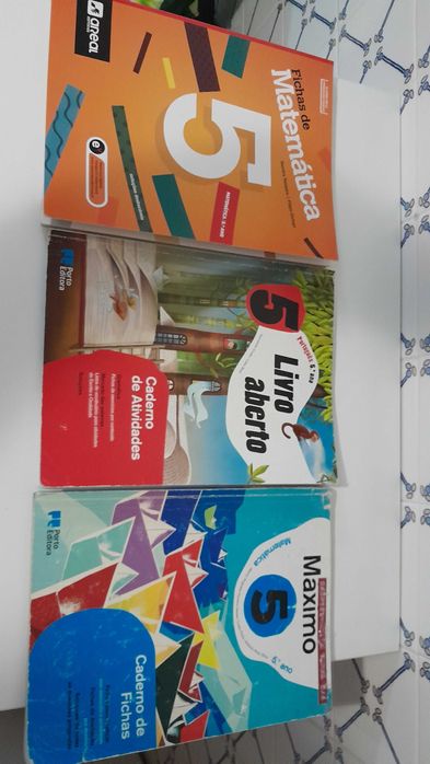cadernos de atividades 5º ano