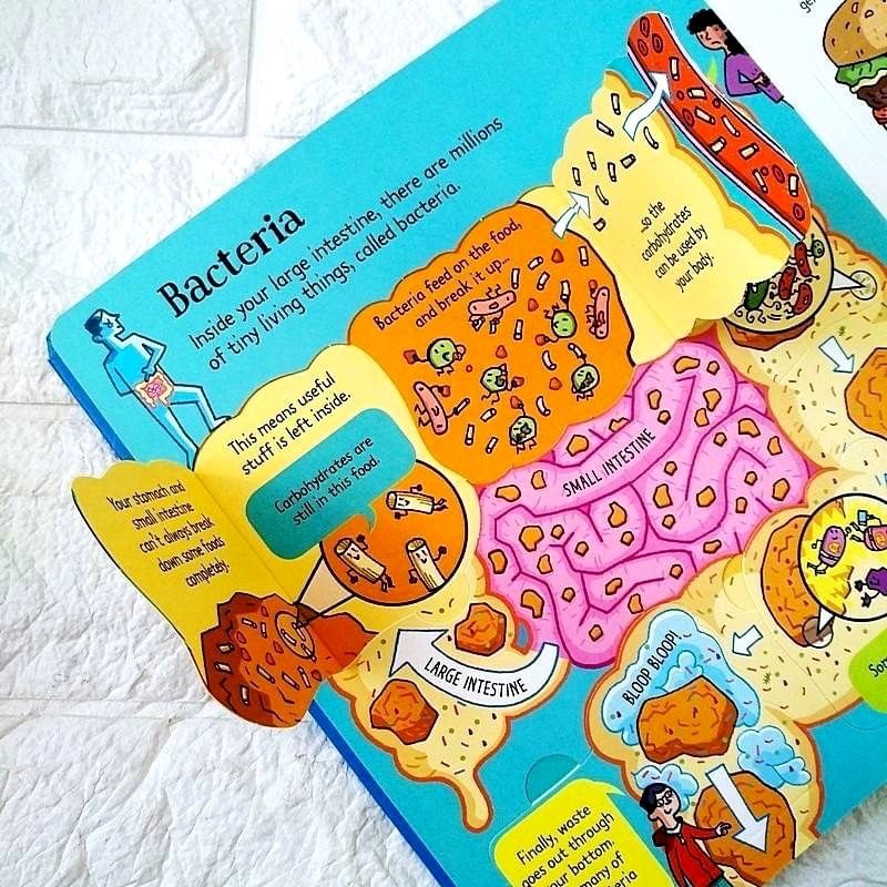 What happens when you eat? Usborne Look Inside z okienkami angielski