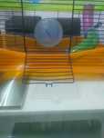 Casa para Hamster.