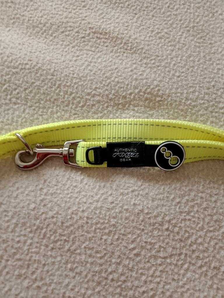 Trela para cães da marca ROGS