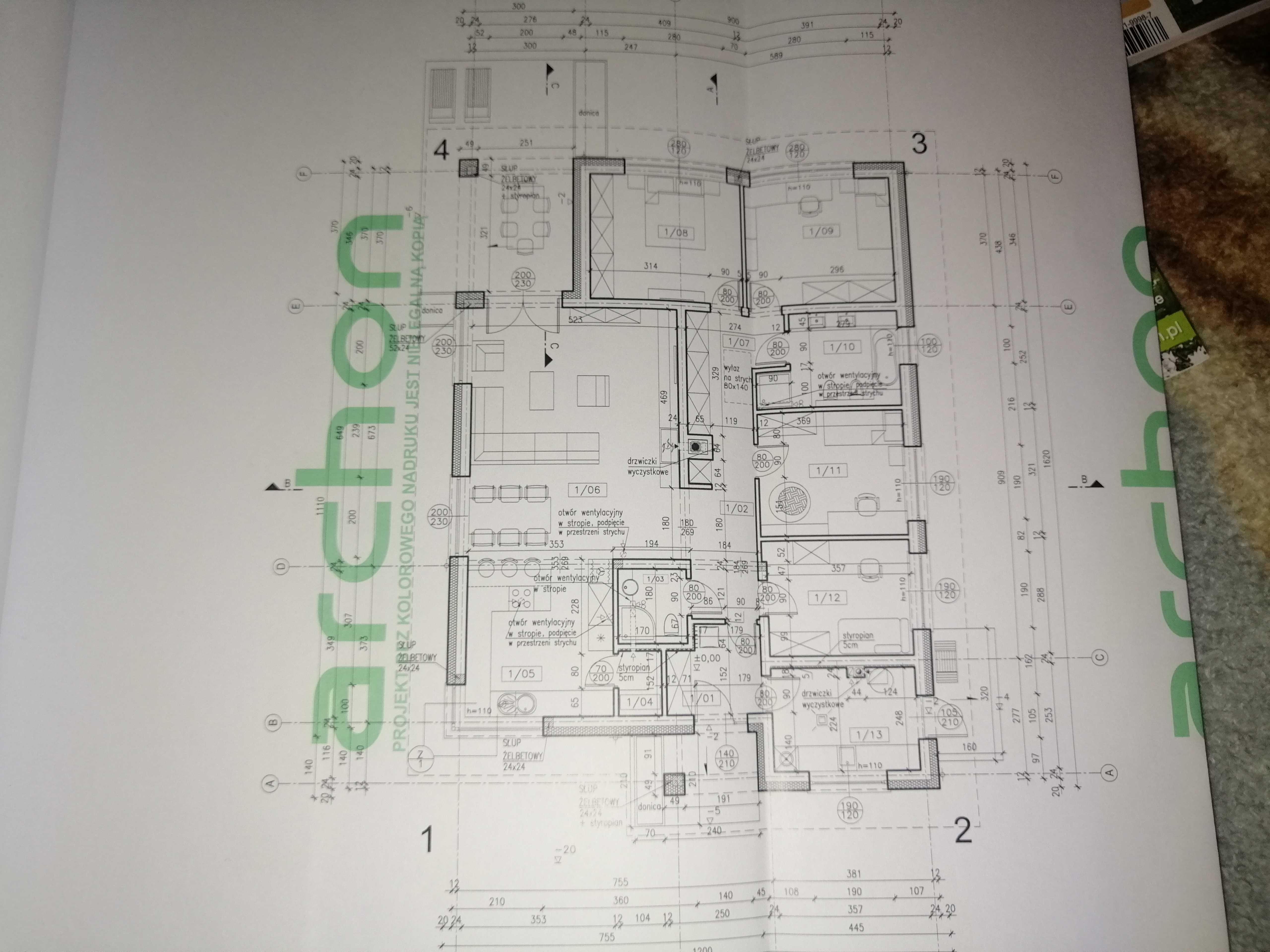 Projekt domu w renklodach 4 archon