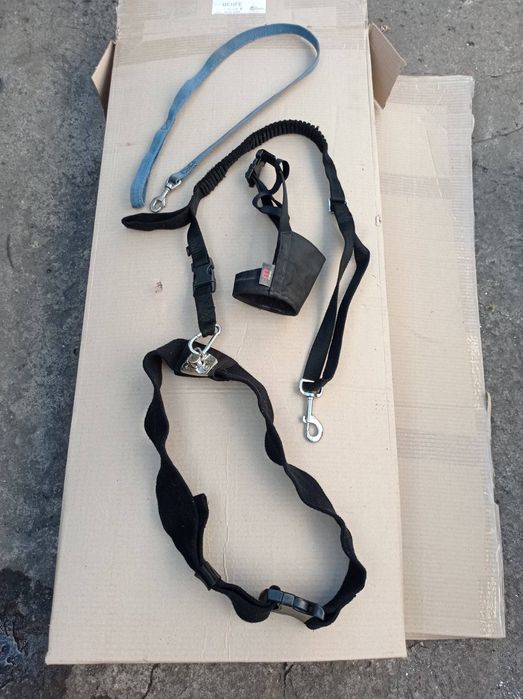 Поводок/сбруя/намордник