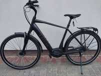 Rower ELEKTRYCZN, TREK, Bosch performance Line