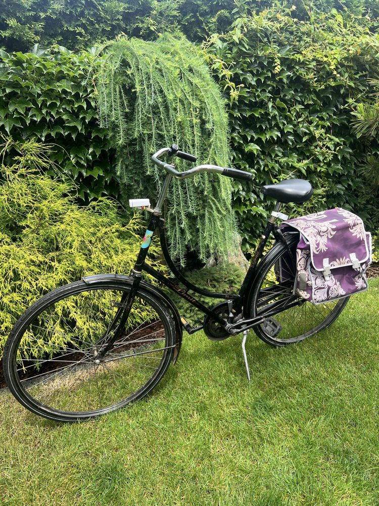 Rower Holenderka