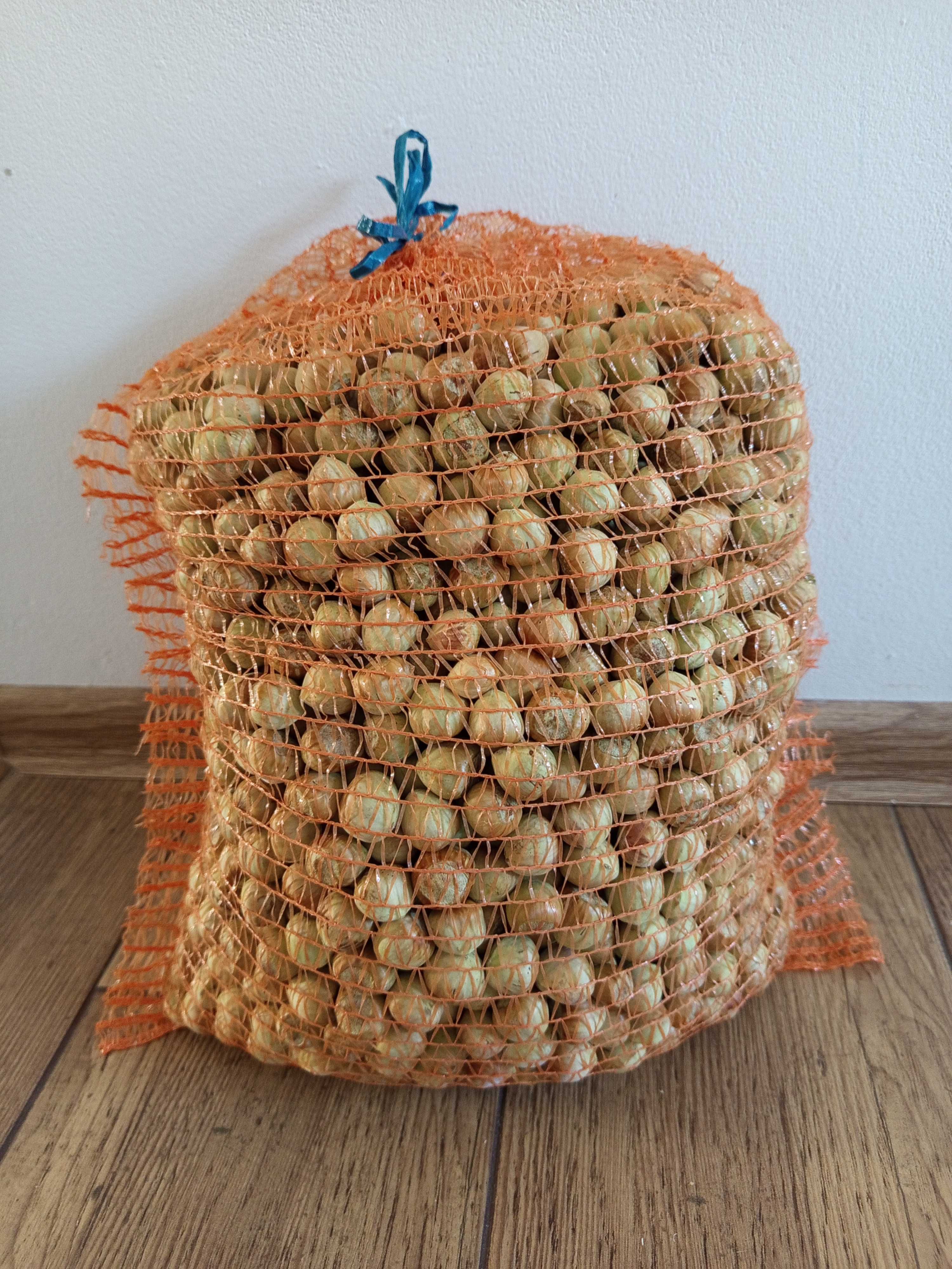 Orzechy laskowe, rwane, bez zielonej otuliny 2 kg