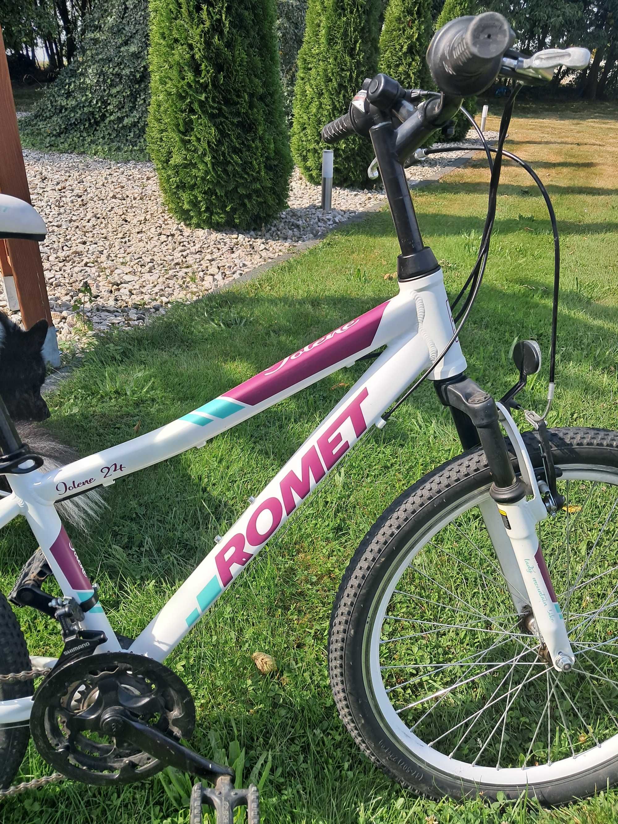Rower Romet 24 cale