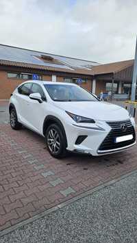 Lexus NX 300h híbrido