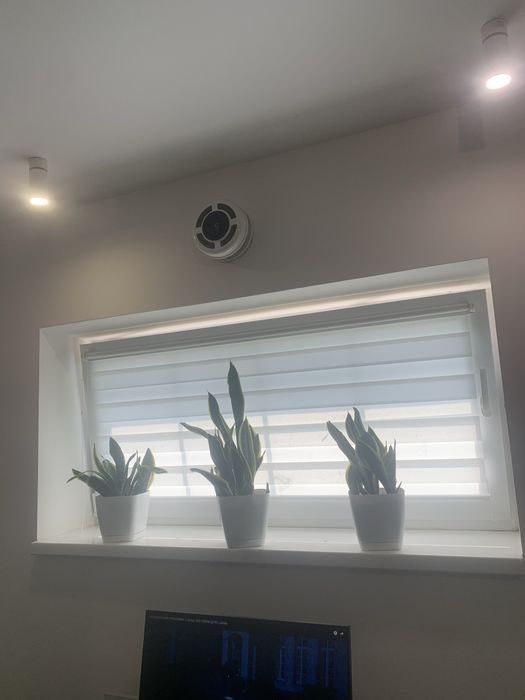 Продається ранчо в пригороді Ужгорода на дві сімʼї