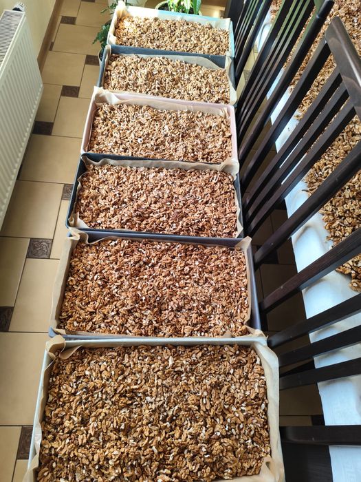 Tegoroczne orzechy wloskie