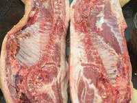 Продам м'ясо свинини полутушами