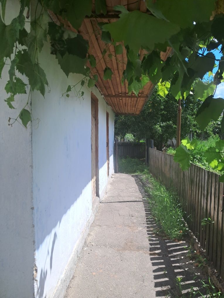 Продам будинок в Житомирський обл м Радомишль
