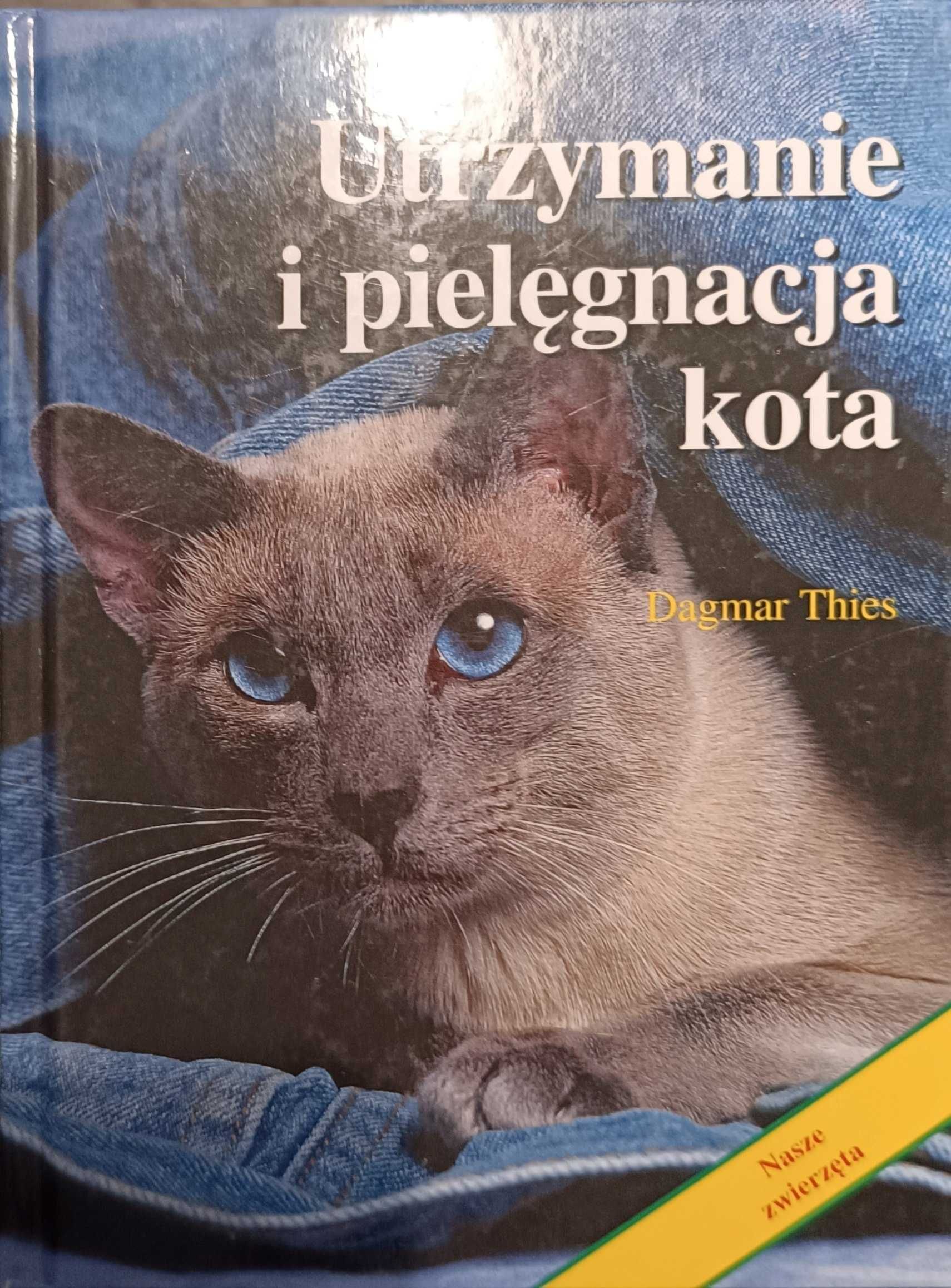 Utrzymanie i pielęgnacja kota. Dagmar Thies