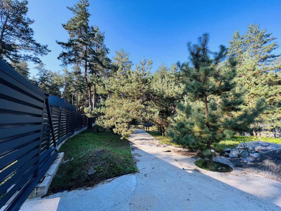 Участок Обуховка катеджный поселок Сосновый Берег лес река