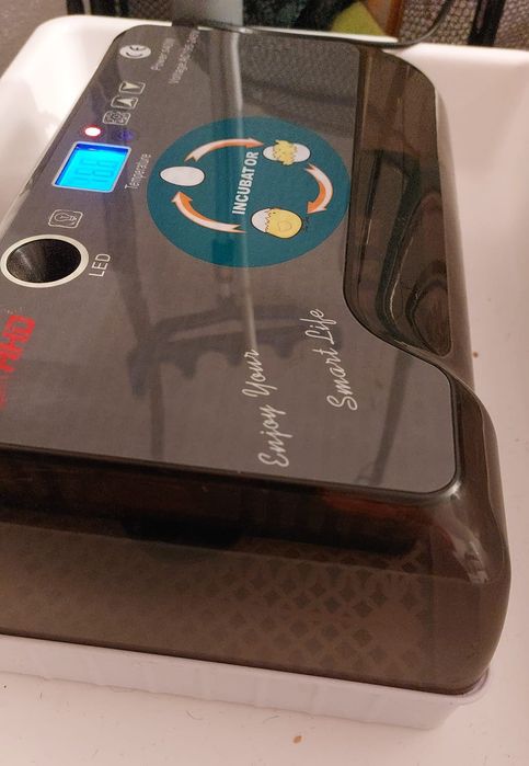 Chocadeira 12 ovos galinha