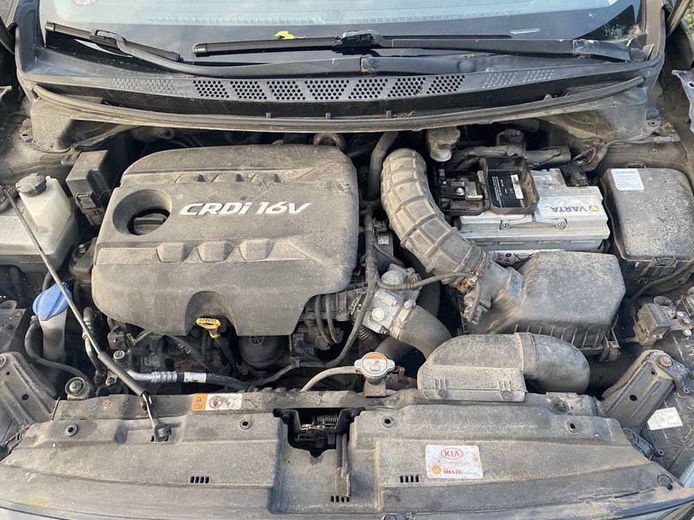 Розборка, Двері Кіа Сід, Kia Ceed 2 1.6 CRDi, Колір 1K